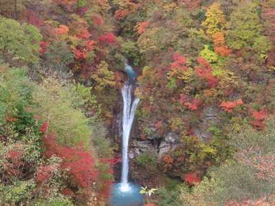 那須の紅葉状況～☆